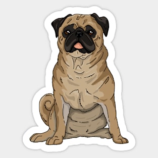 Pug dog Sticker